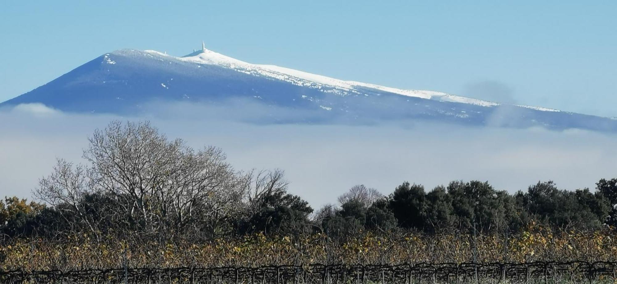 Lavand'Ange Et Spa Sarrians Kültér fotó
